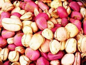 onyekachi_sarah's tweet image. Premium Nigerian Kola Nut (Cola nitida) available in bulk!
.
Perfect raw material for energy drinks, pharma &amp;amp; herbal products.

International buyers – let's connect!
WhatsApp: wa.link/xx5orv
+2347062548939
kachinobleglobalmarketltd.bumpa.shop
#KolaNut #ExportReady #NaturalCaffeine
