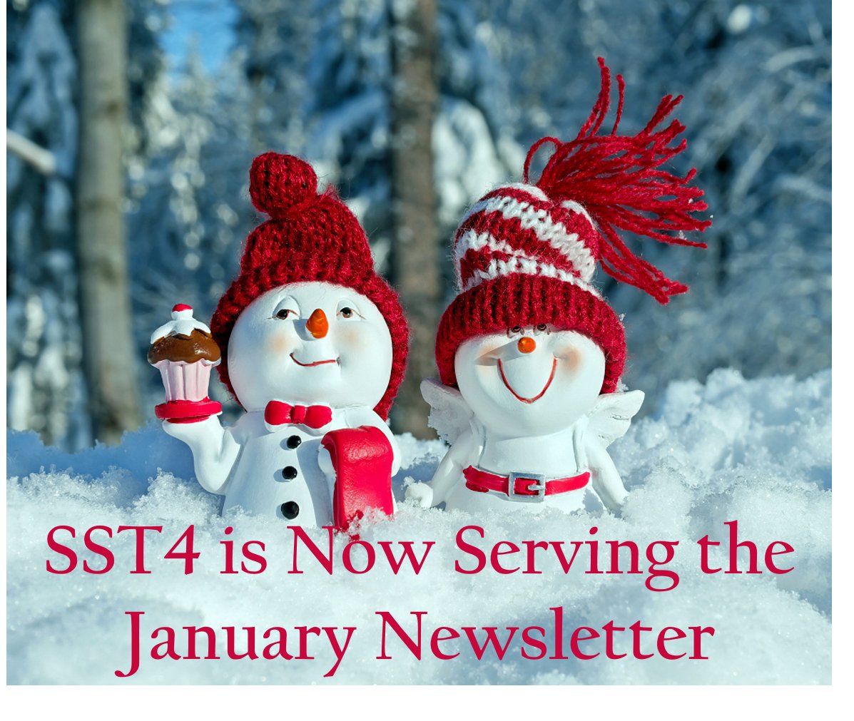 SST Region 4 tweet media