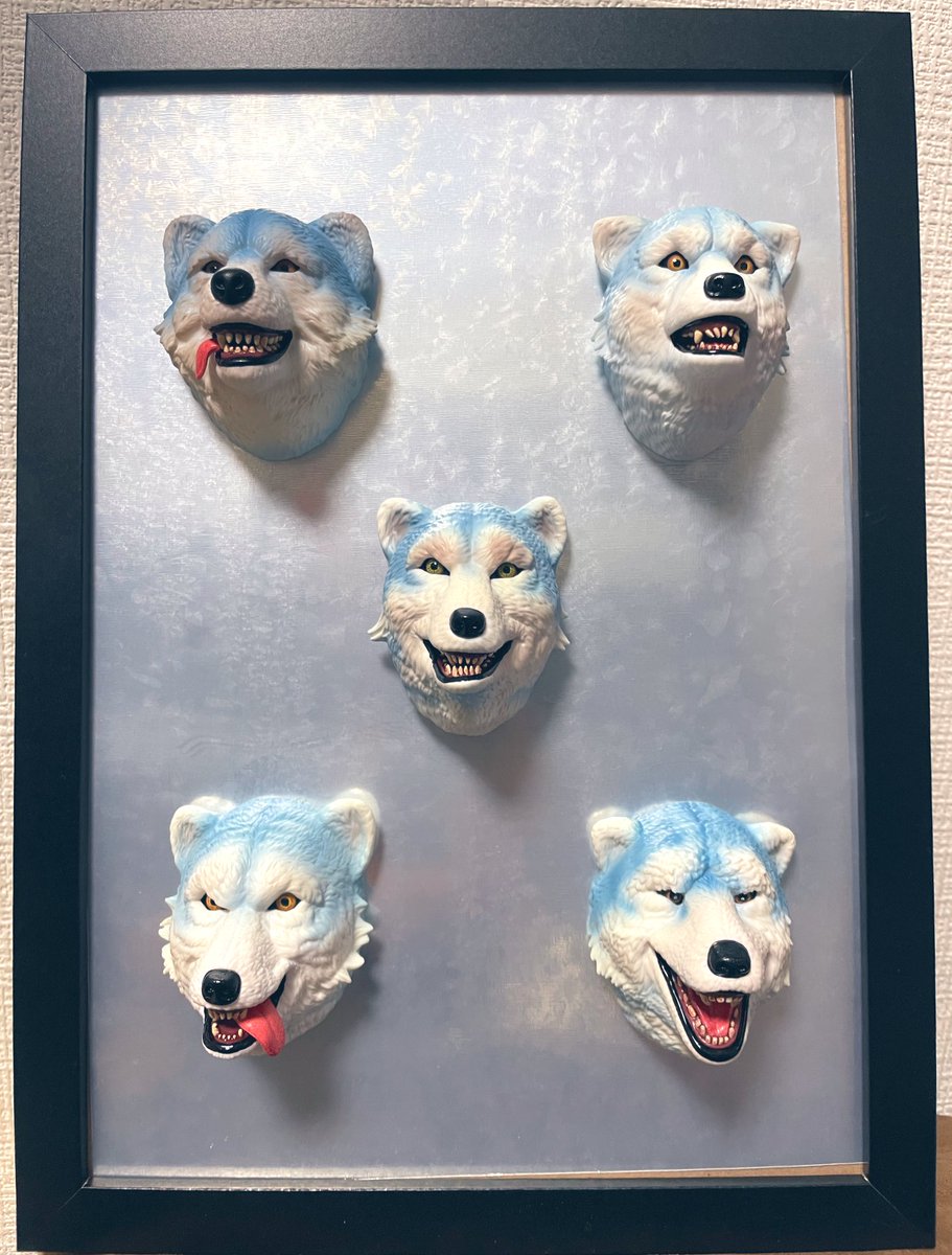 フェイスマグネットを揃えることができました〜😆ケースに入れるなり