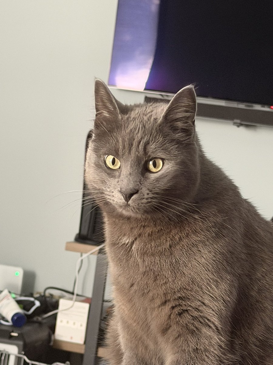 I bought the wrong one, had to return it, and now today THE ACTUAL PEN THAT WILL WORK IS COMINGGG