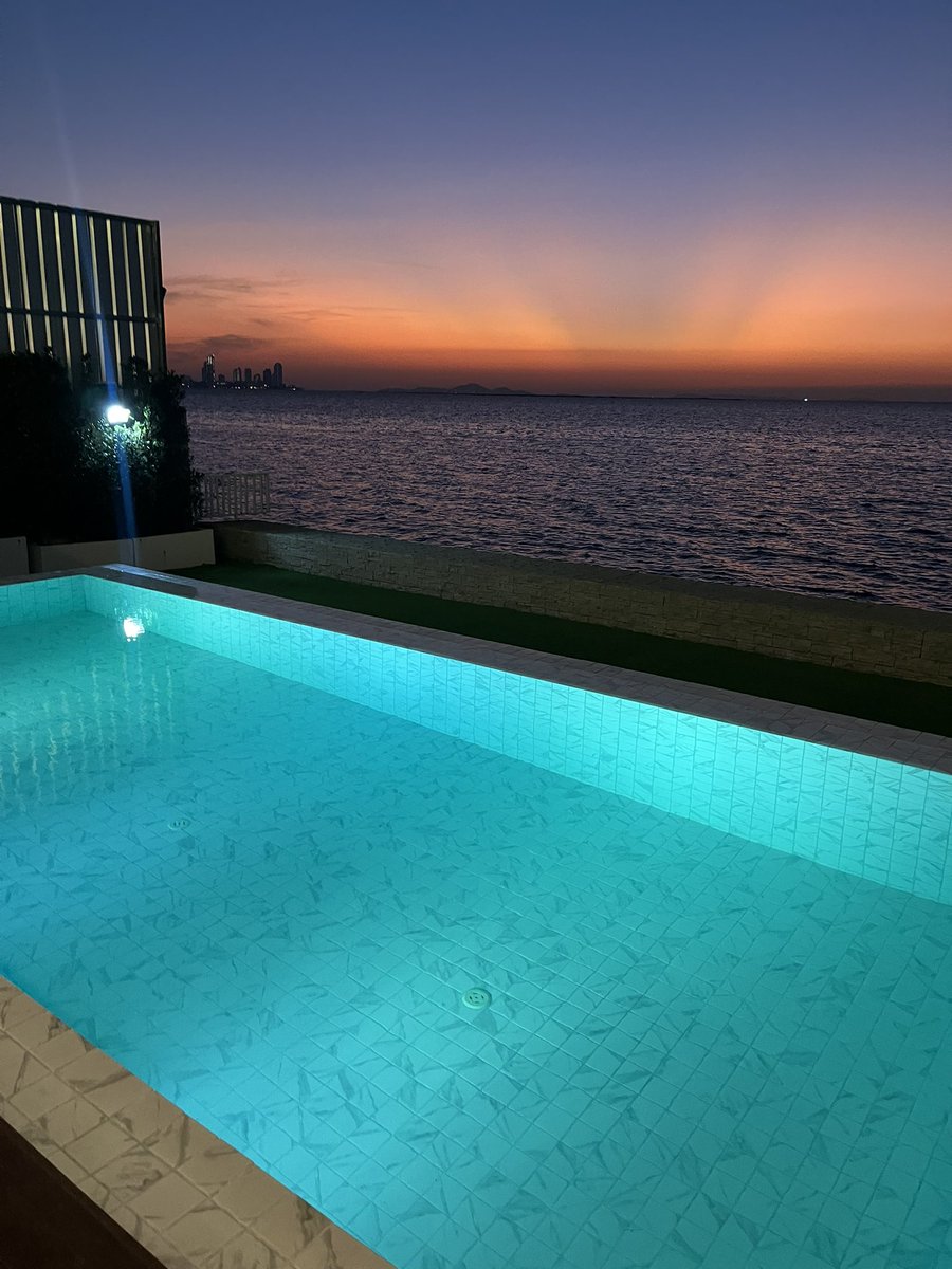 YAVWF's tweet image. 