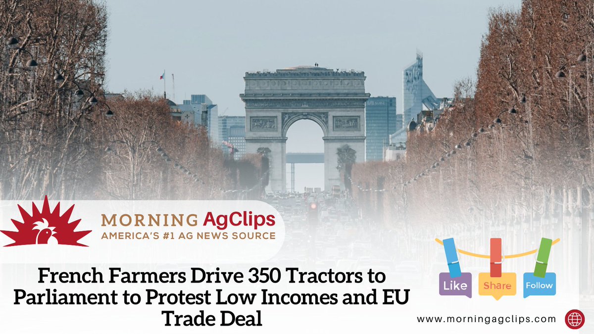 AgClips's tweet image. French farmers say their earnings are being squeezed by rising costs for fuel, fertilizer and animal feed, as well as heavier environmental rules and price pressure from powerful retailers.

Read on: hubs.la/Q03-zwMR0

#frenchfarmers #frenchprotest #eutradedeal