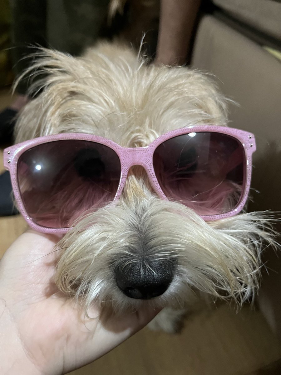 EVe dönüş sebebim 🧿