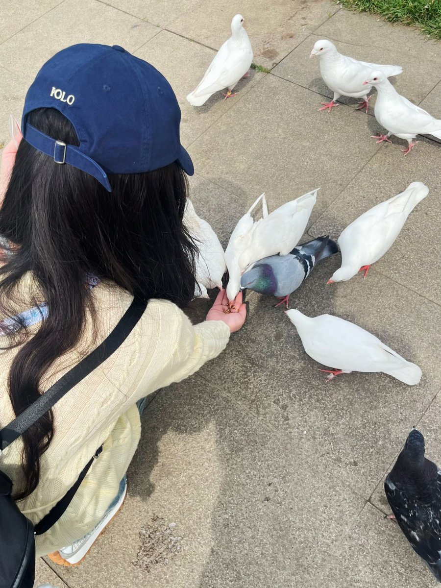 jayrdark's tweet image. Maybe I’m not feeding them… maybe they’re reminding me that showing up with nothing fancy, just an open palm, is enough 🕊️ Sometimes the universe sends feathers instead of answers🪶🤍