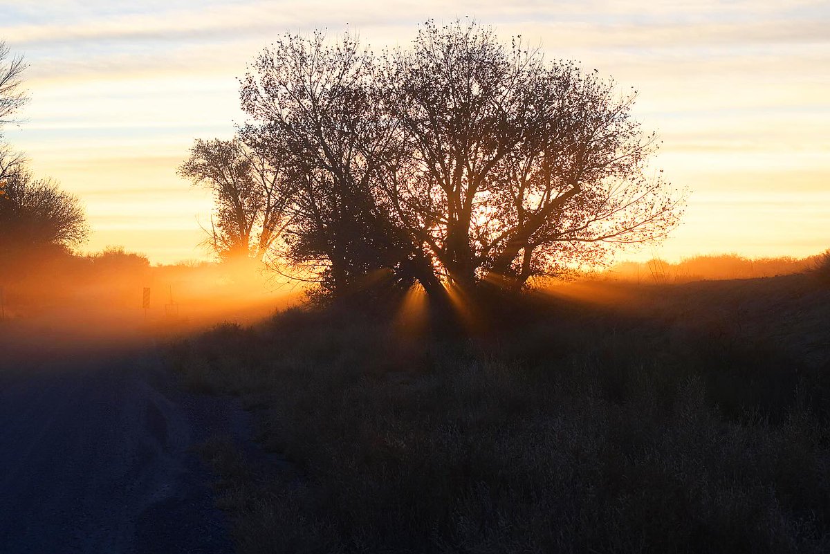 I’ll tell ya, that’s a view that sticks with ya. 🤩

📸: jessewatkins_ via Instagram

#visitfallon #fallonnevada #travelnevada