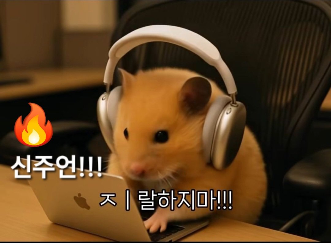 김사과 tweet media