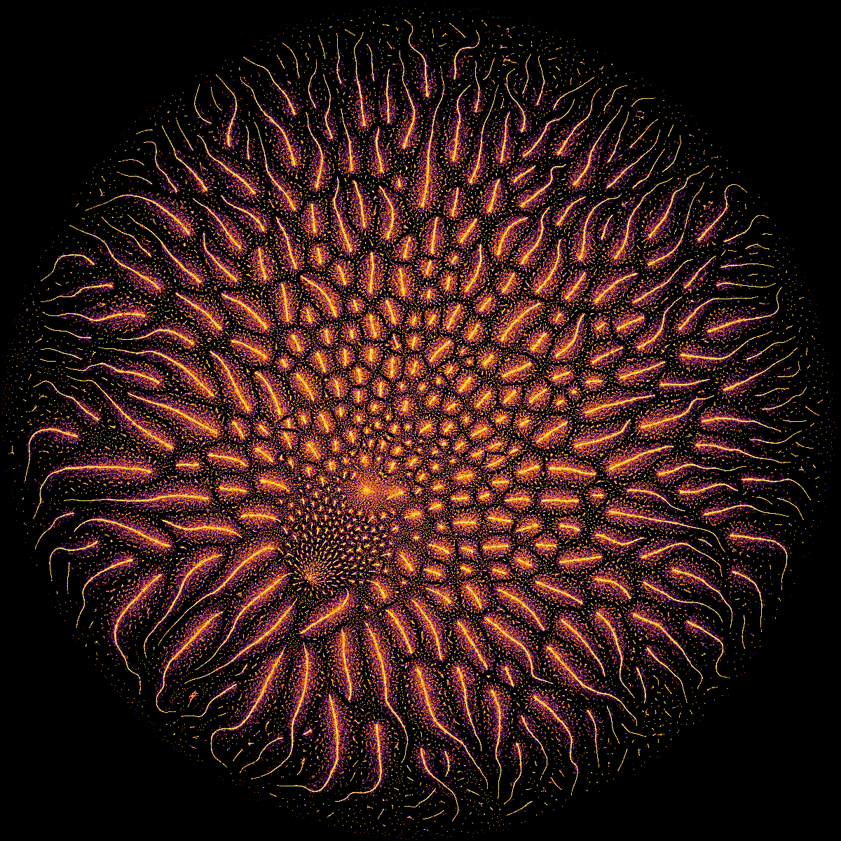 Christopher Akiki tweet media