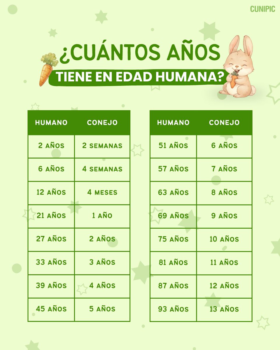 ¿Cuántos años tiene tu conejo en “edad humana”? 🐰💚

Aunque a simple vista parezcan eternos bebés, los conejos envejecen mucho más rápido de lo que pensamos.

#Conejos #BunnyCare #CuidadoAnimal #ConejitosFelices #Cunipic
