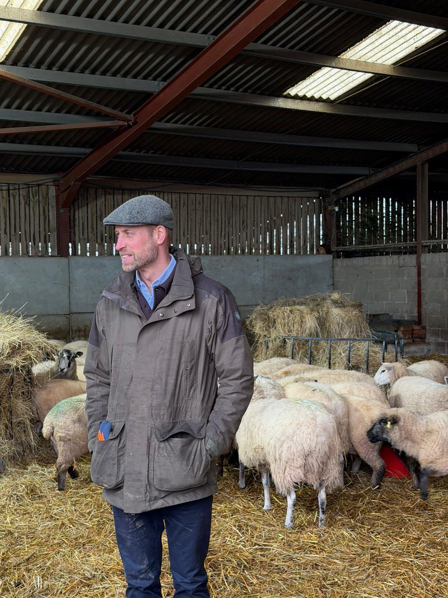 RE_DailyMail's tweet image. The Prince of Wales, Patron of We Are Farming Minds, has been visiting a family farm in Herefordshire to highlight the importance of mental health support across the farming community. He even got to feed the sheep 🐑