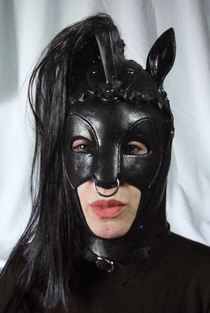 Un cheval, un cheval, mon royaume pour un cheval !

- William Shakespeare