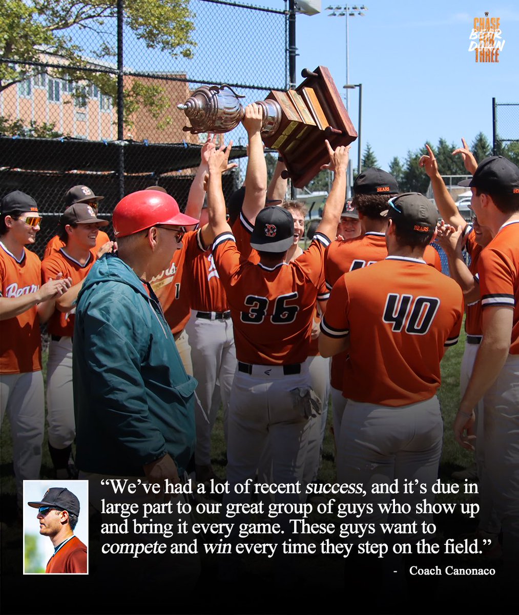 New York Bears tweet media