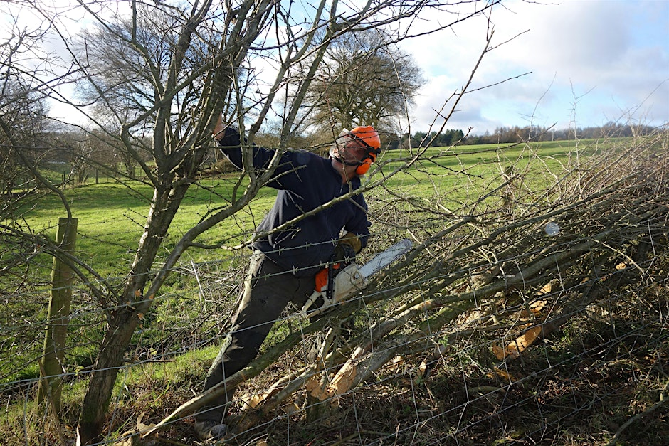 CPREHfdshire's tweet photo. Hedgerow Management for Healthy Hedges
Wed 4 Feb 2026 Online
Join CPRE Hampshire for a talk with expert hedgelayer Nigel Adams – covering planting, laying, trimming &amp; hedge health.
👉 Book: https://t.co/78IfcO1jJz 

#HedgerowHeroes #Hedgelaying #NatureRecovery #CPREHerefordshire https://t.co/GT8AonFVna