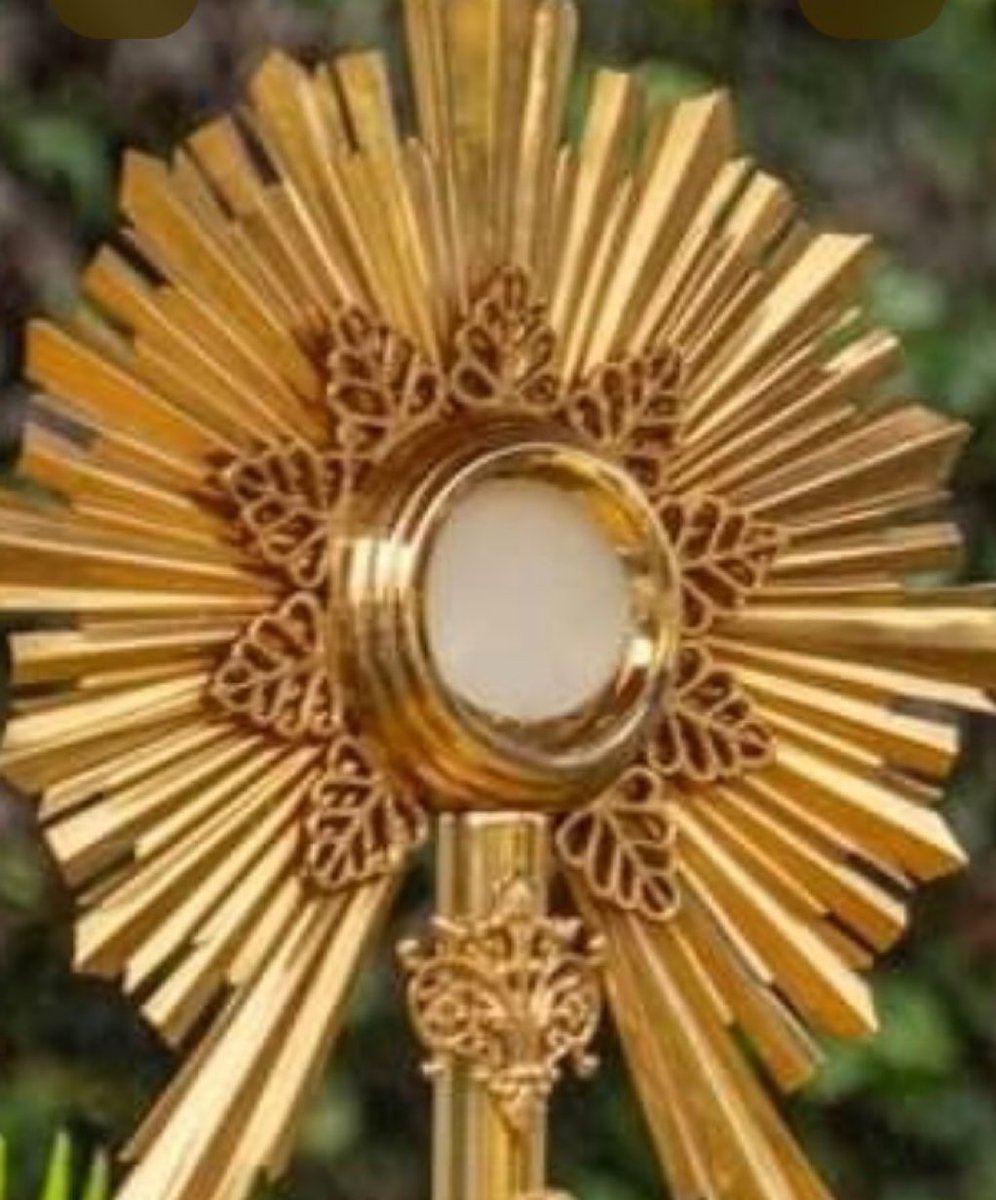 ingenieriasn's tweet image. !!  ALABAD  Y  ADORAD  AL  SEÑOR  !!

    H O Y    J U E V E S   EUCARISTICO