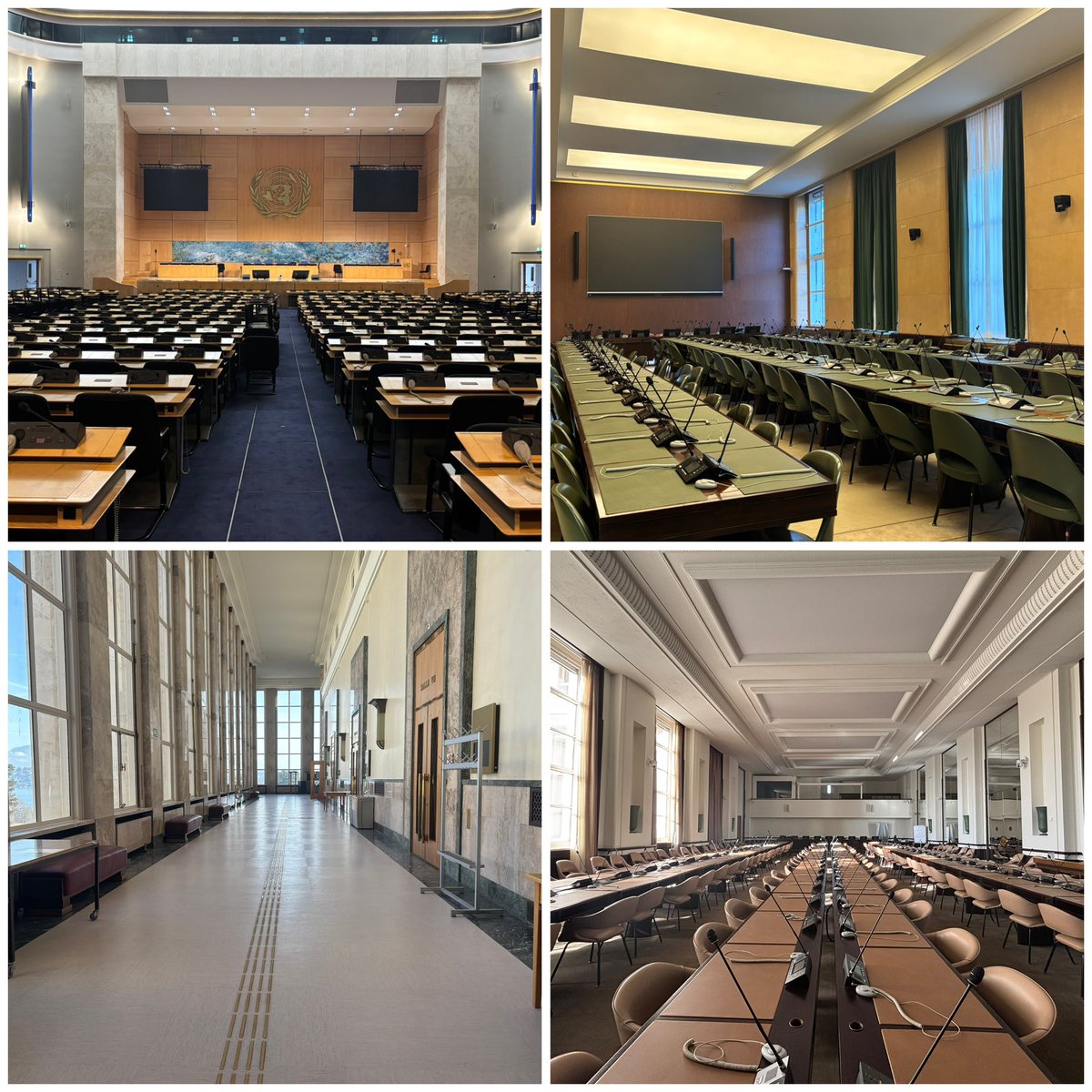 IsraelinGeneva's tweet image. Iranian people are being openly butchered in the streets in broad daylight? Empty chairs at the @UN and silence.  

Selective outrage is a moral theatre.

A total collapse of integrity.