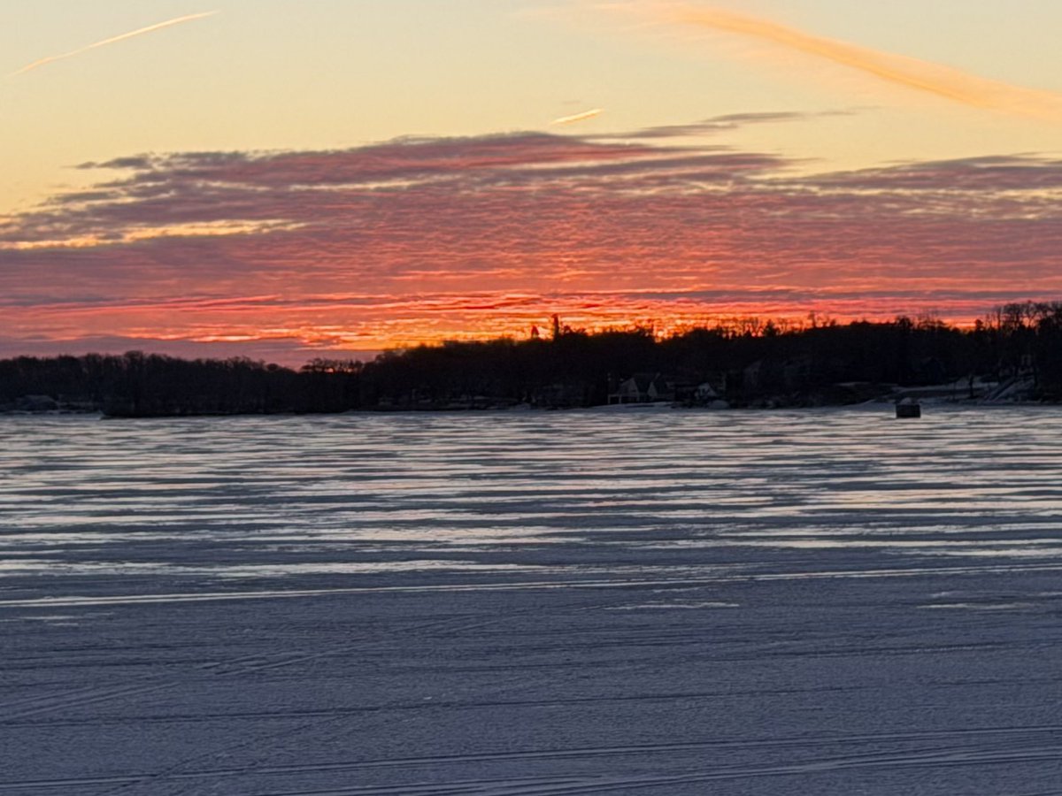 Danny Schoen tweet media