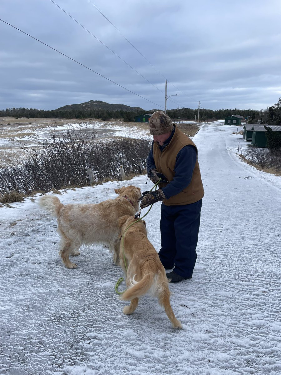 Karen Banfield Hare tweet media