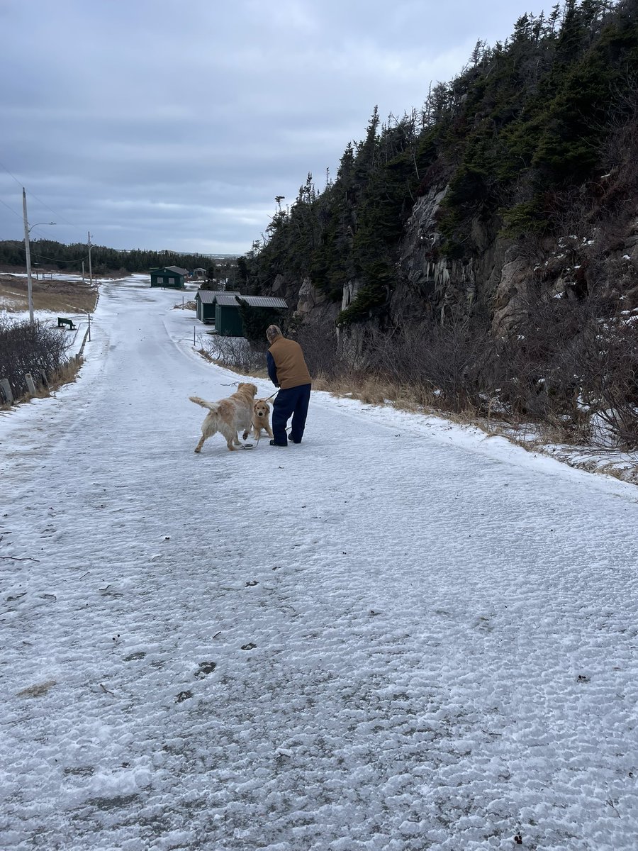 Karen Banfield Hare tweet media
