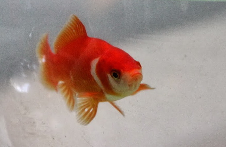 Hallo und einen schönen Resttag