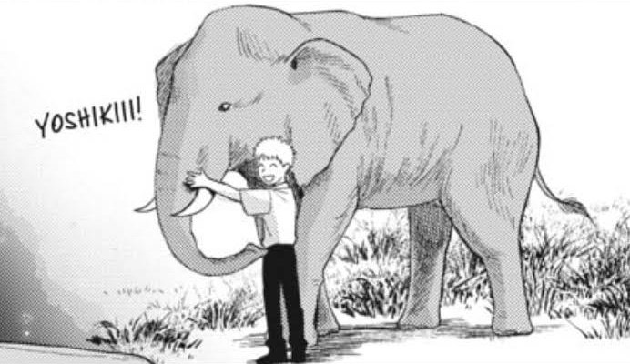 priecfield's tweet image. turkish media is releasing an anti lgbtq propaganda documentary that uses an elephant as a metaphor ...... what do yall even KNOW About elephants