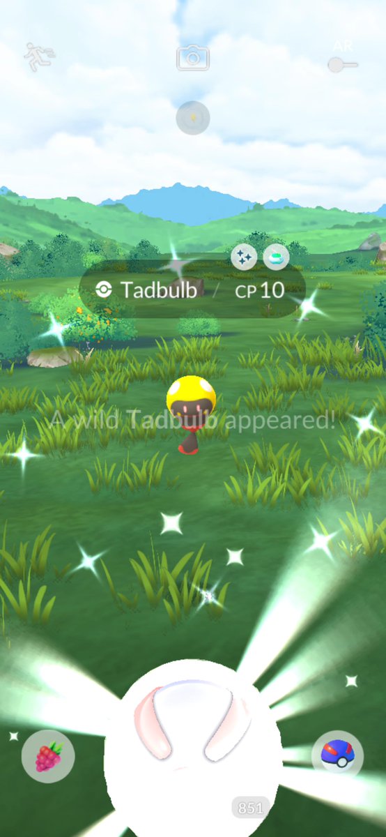 SawkOnThis tweet media