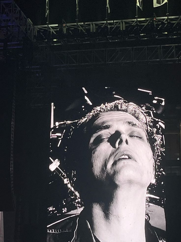 alihaomao's tweet image. 