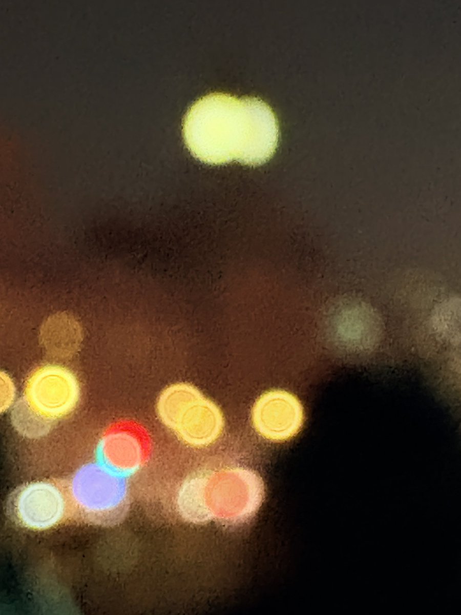 hellomy2024's tweet image. 要抓紧出差的时间，多去户外走走