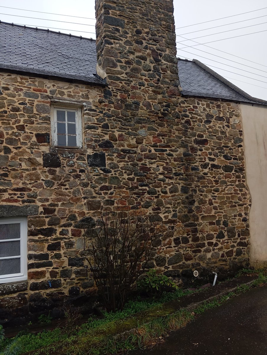 Anne-Léa LE GOFF tweet media