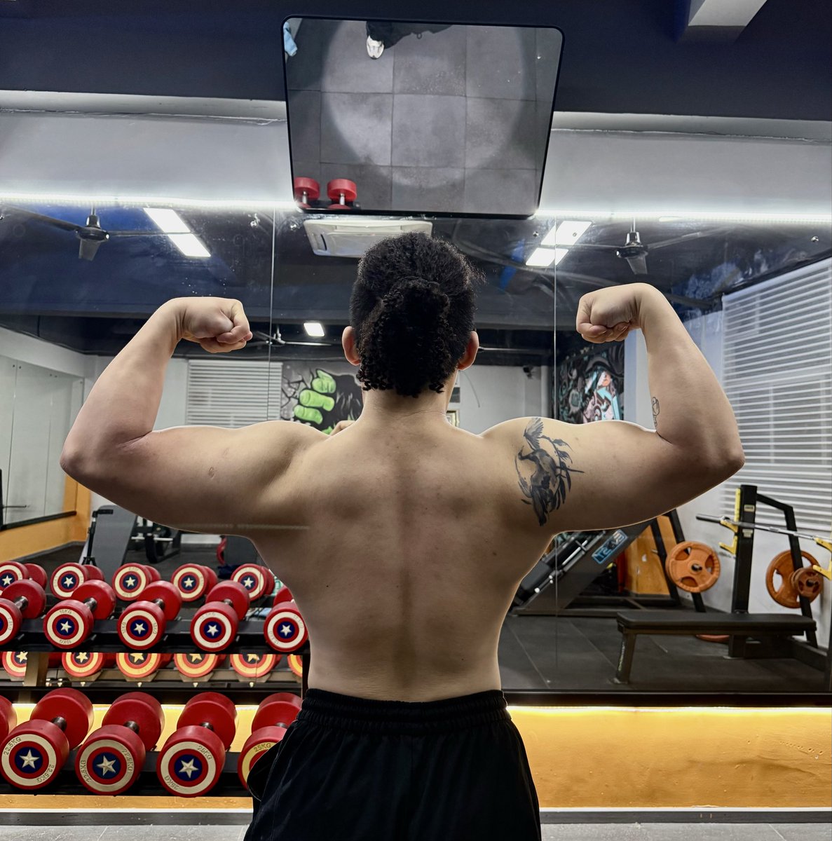 Jacobird tweet media