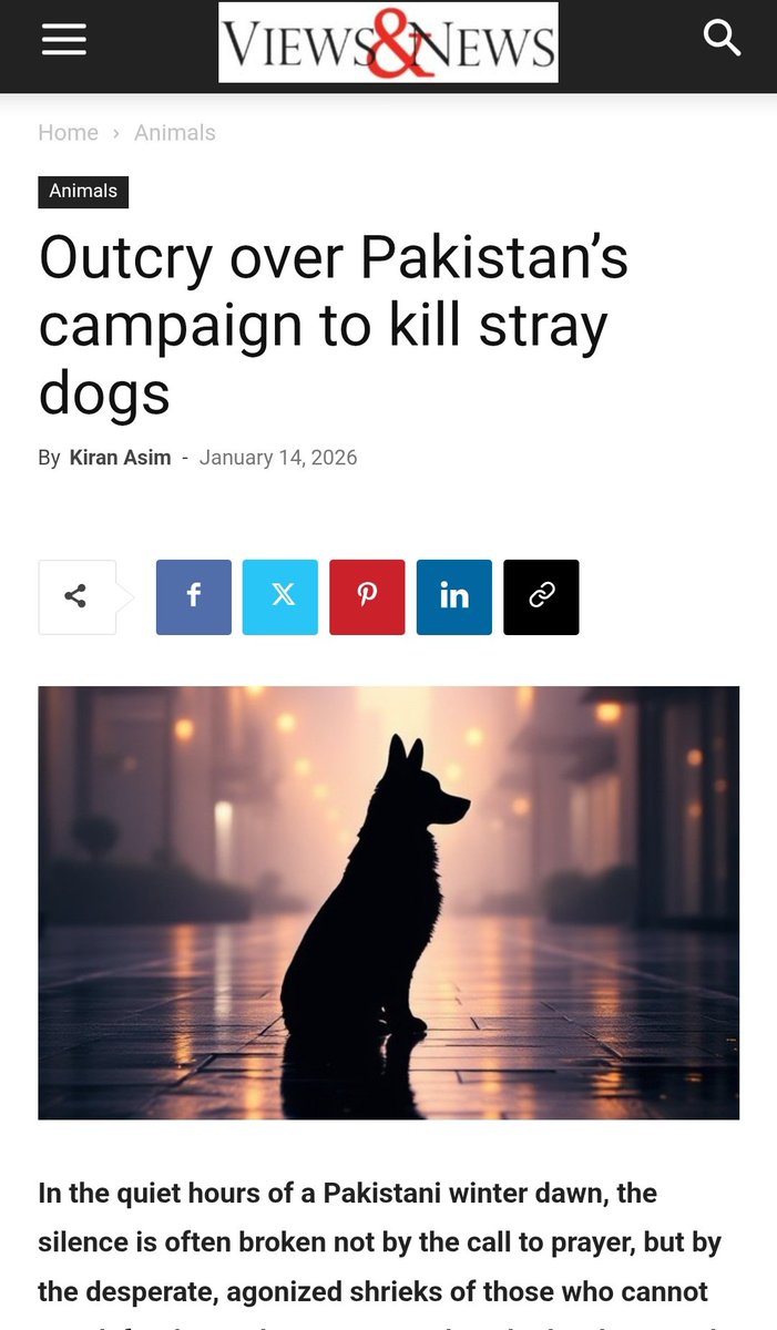Article written in regards to the recent mass cullings that are occurring. Do give it a read and please support the Pakistan organisations that are literally drowning due to the sheer scale of these murders 
viewsnewsnow.com/outcry-over-pa…