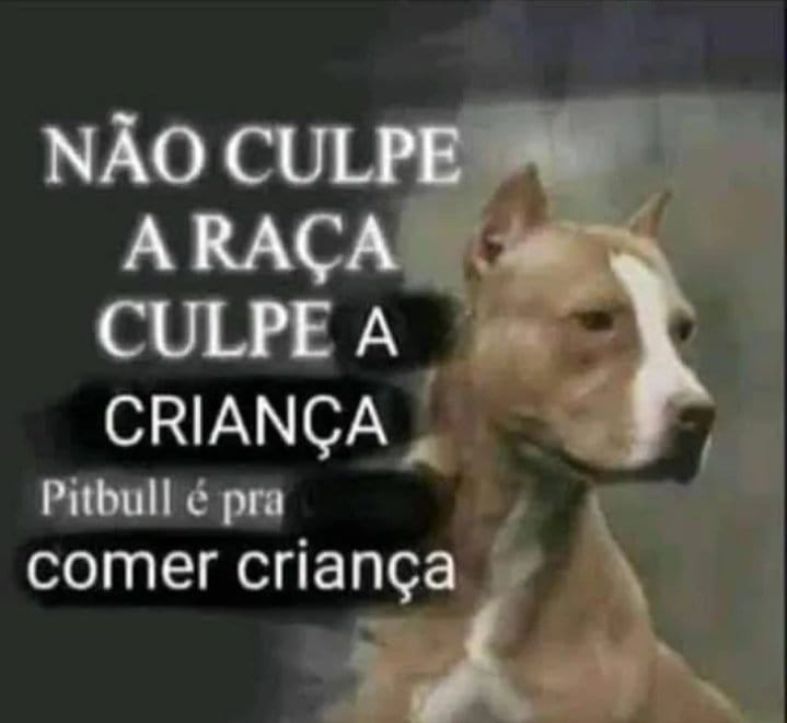 The General Cubilla (@martincubilla) on Twitter photo 