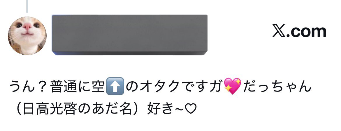 ねこちゃんパンチ tweet media