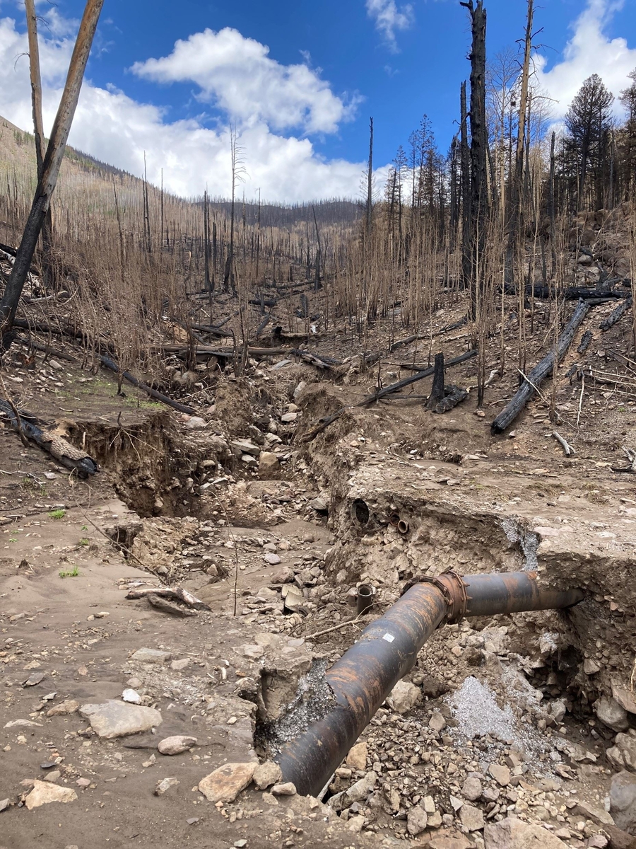 RMEF's tweet image. The Fix Our Forests Act not only aids forest health &amp;amp; wildlife habitat but would help ensure reliable water &amp;amp; power supplies, which benefit consumers. Here’s how &amp;amp; why➡️rmef.org/media/forest-l… RMEF calls on @SenateGOP &amp;amp; @SenateDems to pass it. @NatResources