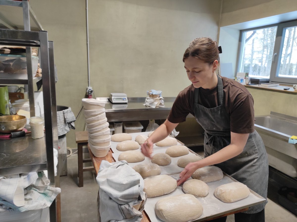 edruva's tweet image. Nu jau pusotru gadu pavāre un uzņēmēja Ketija Grēta Sabule darbojas savā ceptuvē Raiskumā un zem zīmola “rāms” pircējus palēnām pieradina pie skābmaizes un piedāvā aizvien jaunus maizes veidus un produktus.
👉Lasi vairāk:👉edruva.lv/dzives-stils/r…