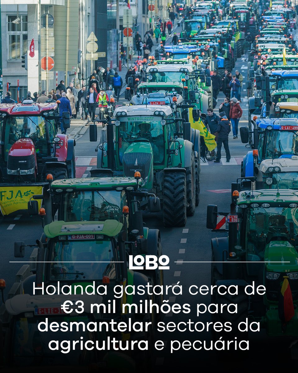 media_lobo's tweet image. O governo holandês, justificando ter de reduzir as emissões de azoto, está a desmantelar propriedades de agricultores e criadores de gado, que terá um custo de €3 mil milhões para os contribuintes holandeses.

Descubra a verdade: medialobo.com/2026/01/15/hol…