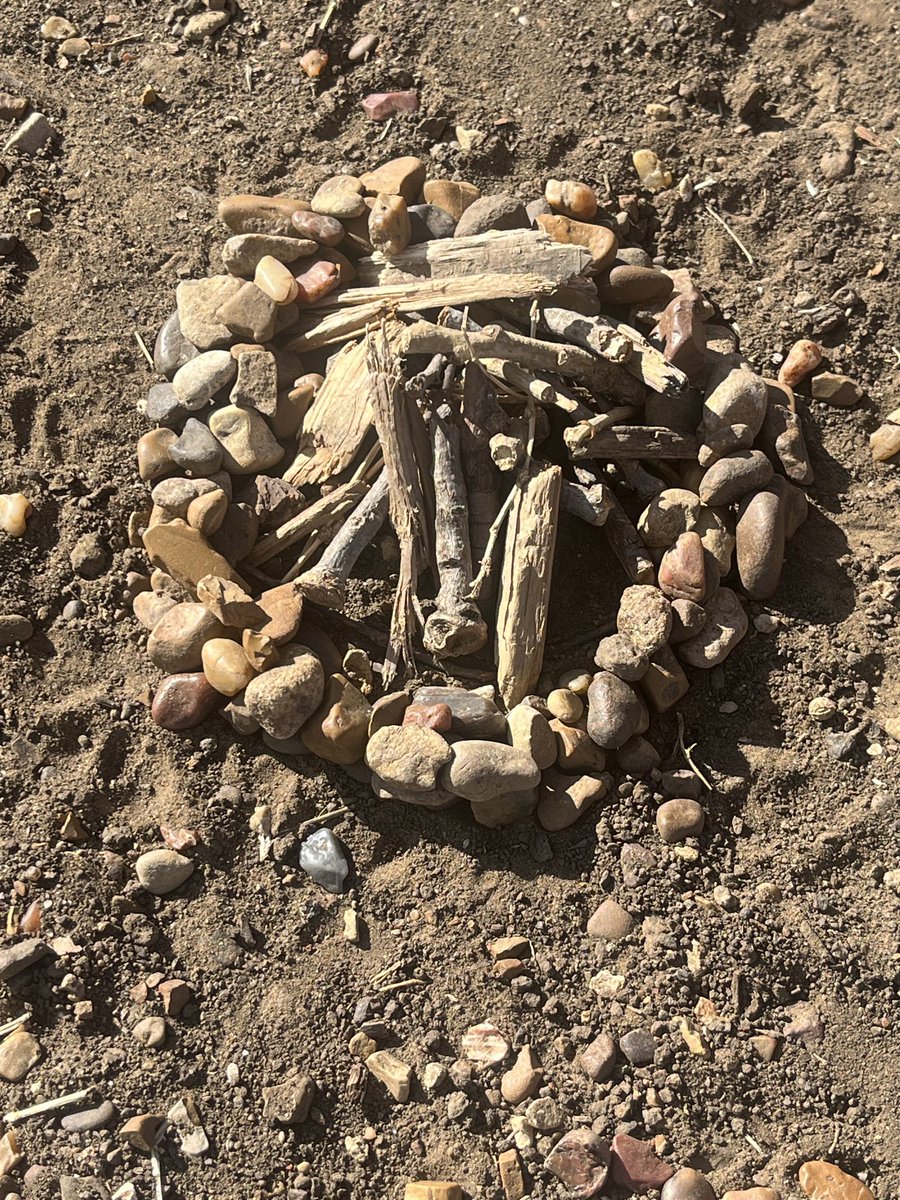 Samantha Dure tweet media