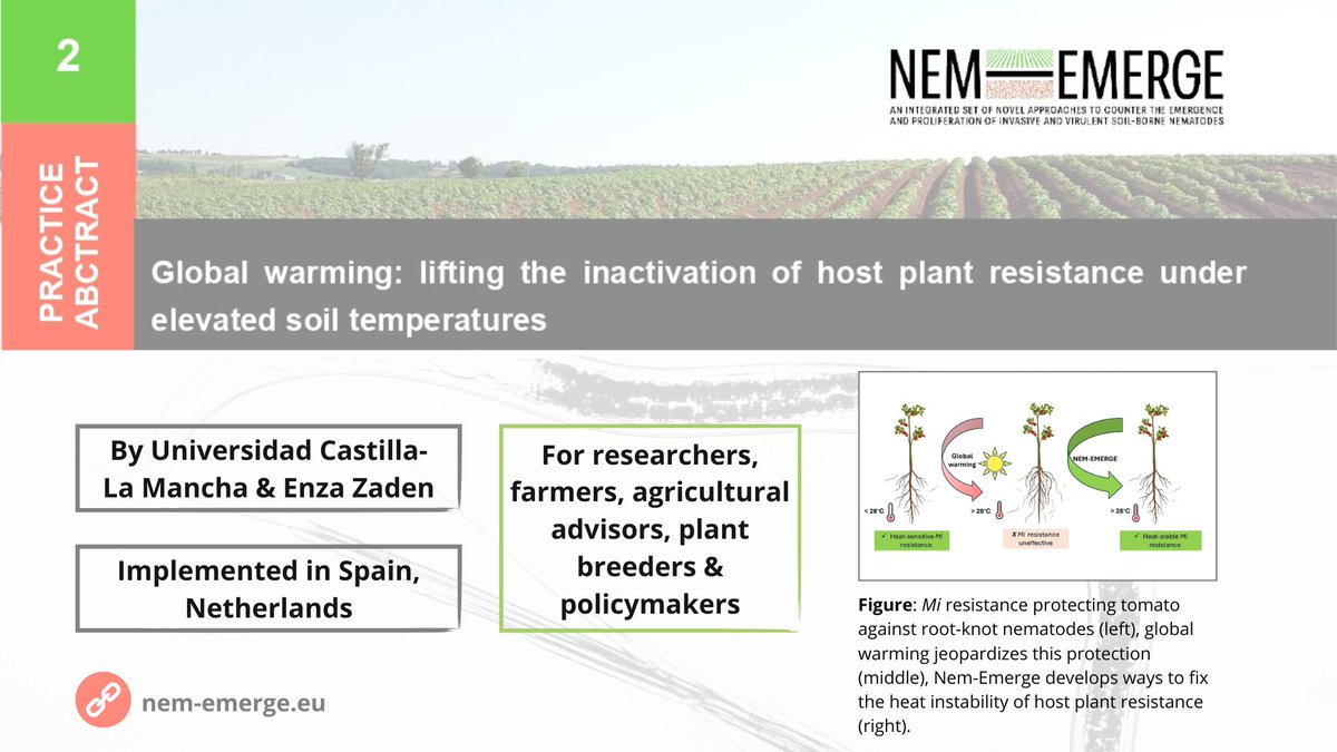 NEM-EMERGE tweet media