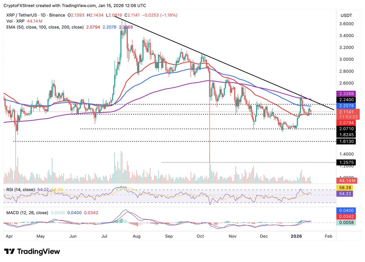 BullRush tweet media