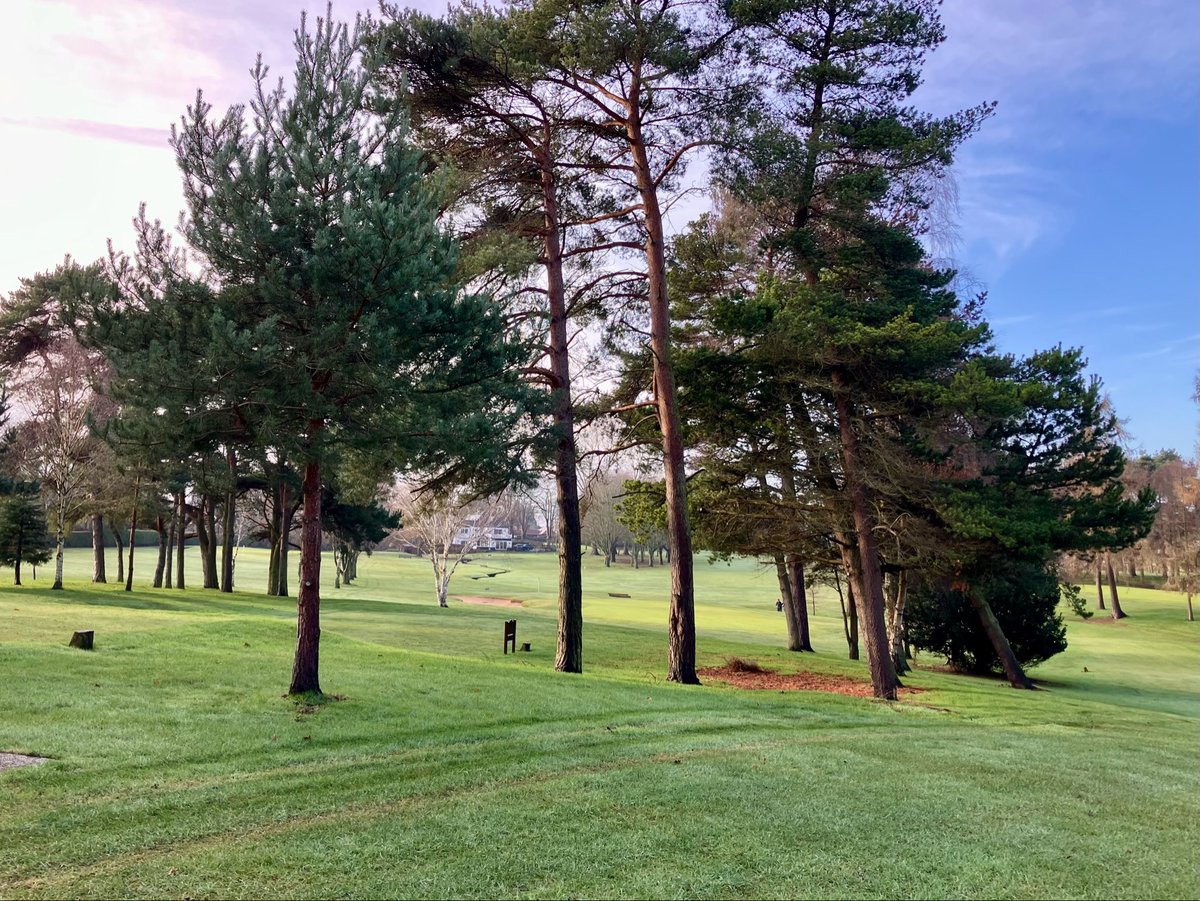 Paul Haylett tweet media