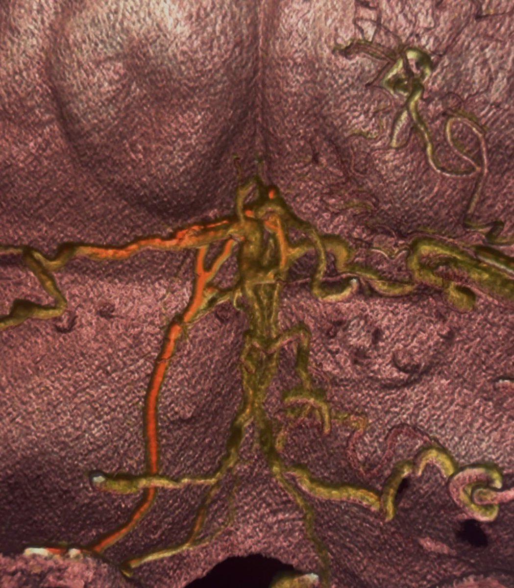 Icono Guide tweet media