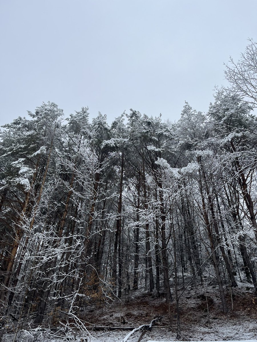 cruisin.exe tweet media