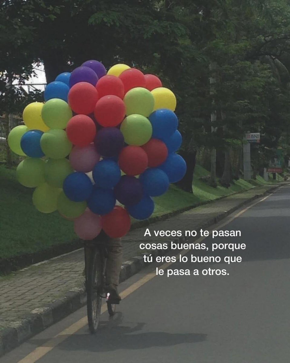 Bandidosfrases's tweet image. 