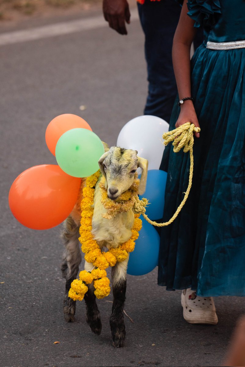 the avinasha tweet media