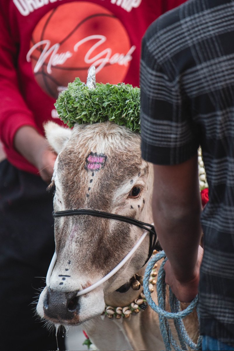 the avinasha tweet media