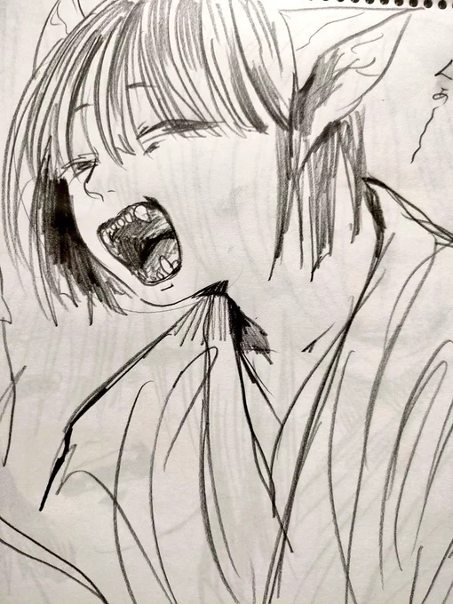 お気に入りの、顔 