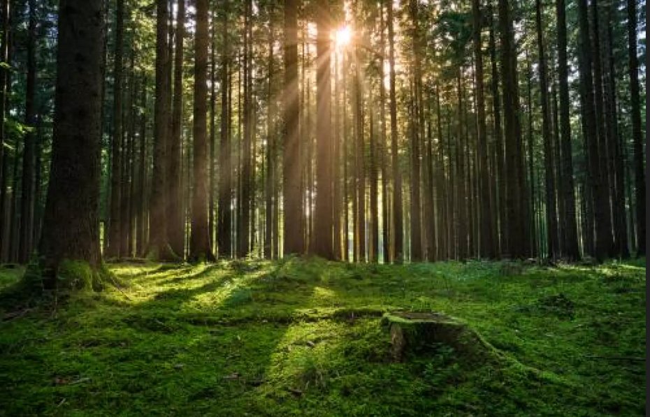 IPPSR at MSU tweet media