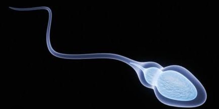 Lamine Yamal the last time Arsenal won the league title 😭😭😭😂😂