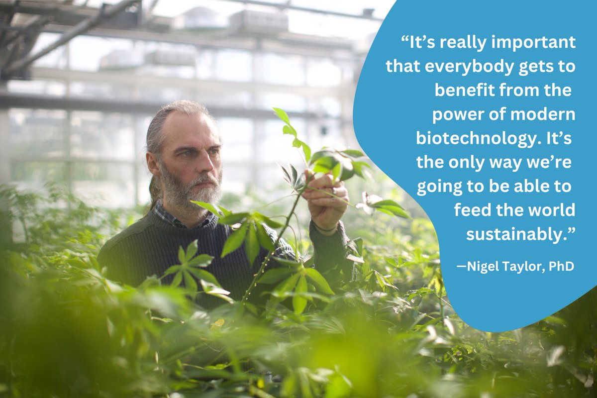 Danforth Center tweet media