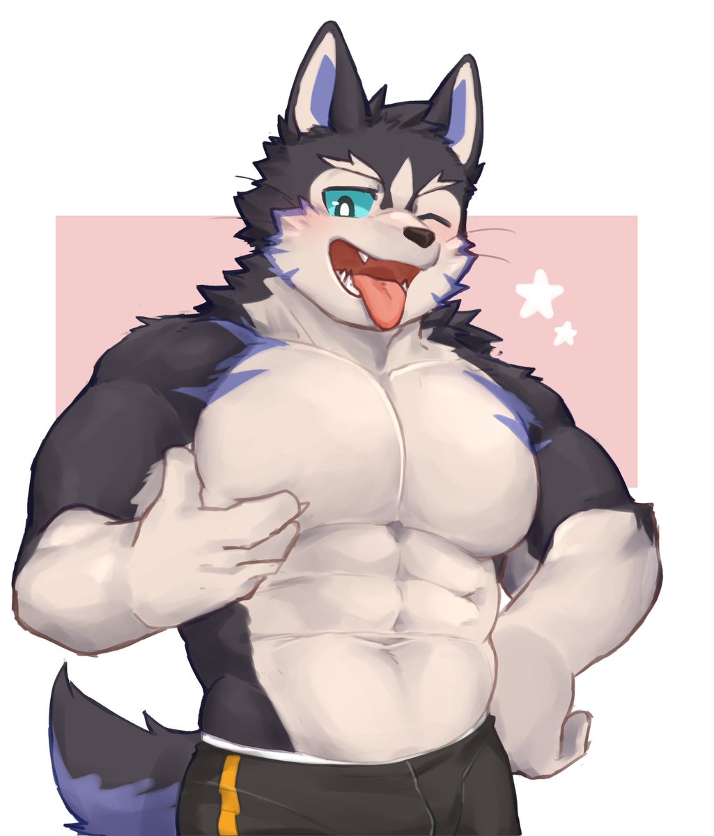 對胸部挺有自信的星星狗✨

 #XXLWOOFIA