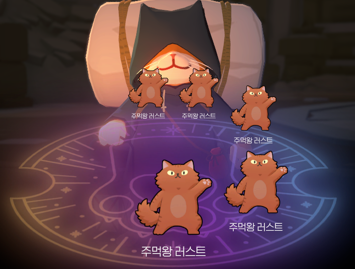 너 말고 까만 고양이 데려와!