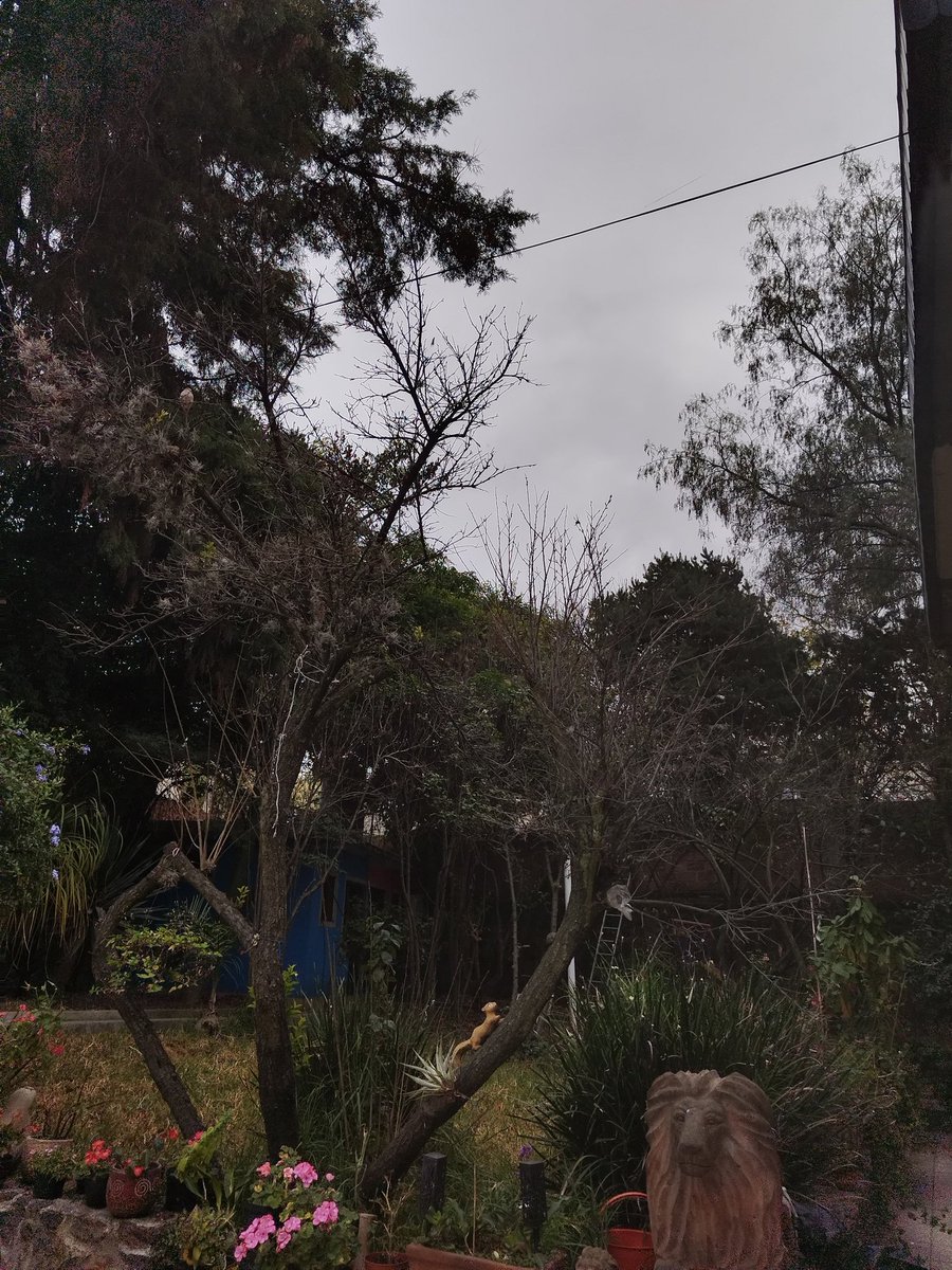 otsor's tweet image. Mis planes de lavar cobijas se cambia para otro día 😑😐